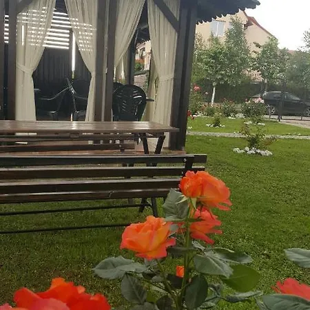 Trandafirilor 3* Costinești