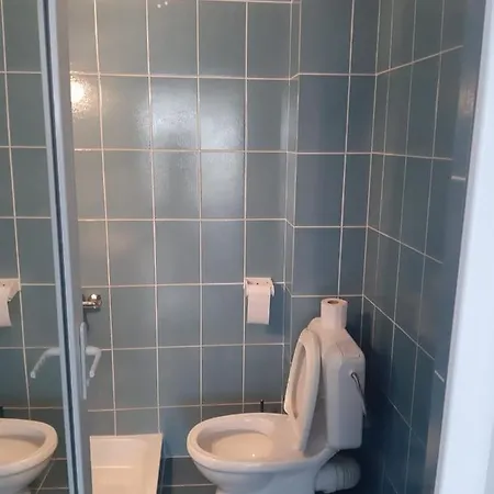 Trandafirilor Guest house