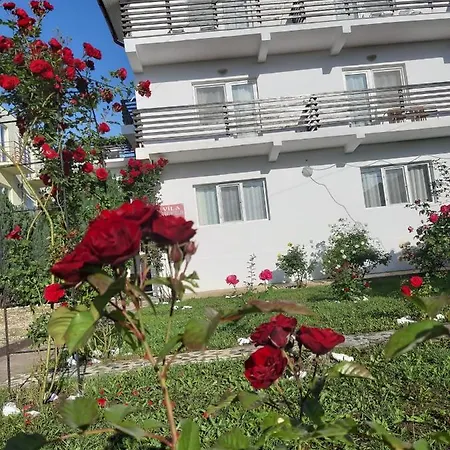 Trandafirilor 3* Costineşti