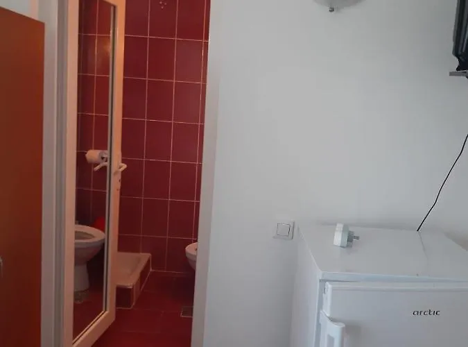 Trandafirilor 코스티네스티