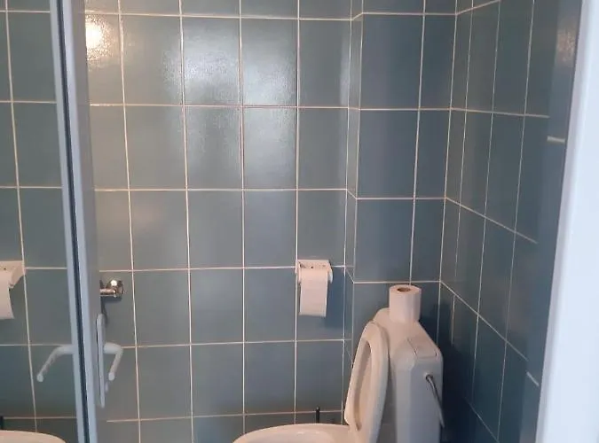 Trandafirilor 게스트하우스