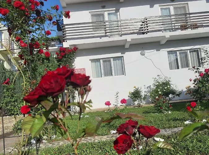 Trandafirilor 3* 코스티네스티