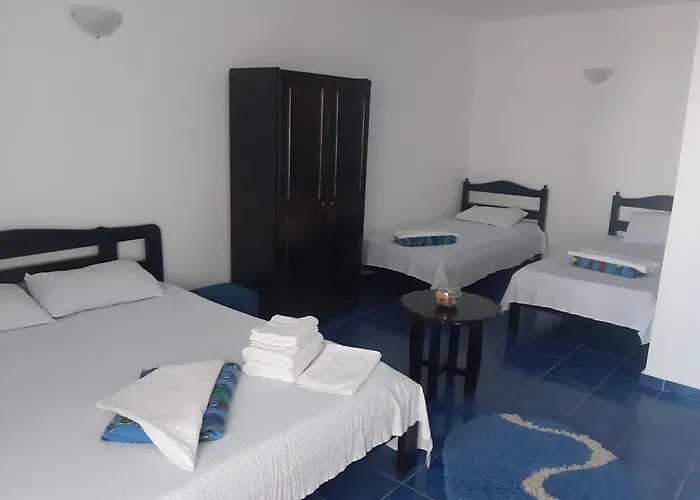 게스트하우스 Trandafirilor 코스티네스티