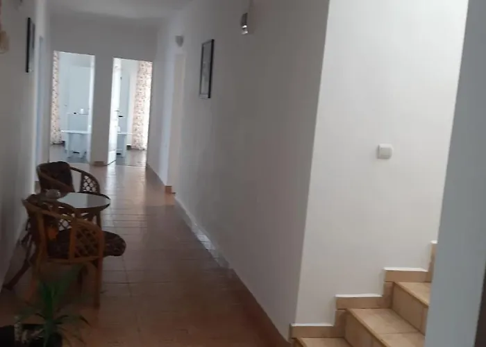 Trandafirilor 코스티네스티