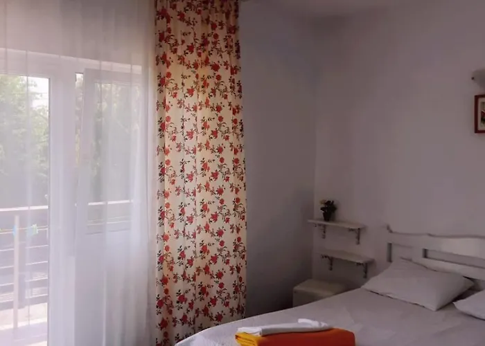 게스트하우스 Trandafirilor